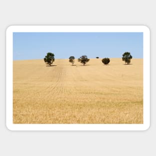 Wheat Field by Avril Thomas photography - South Australian Artist Sticker